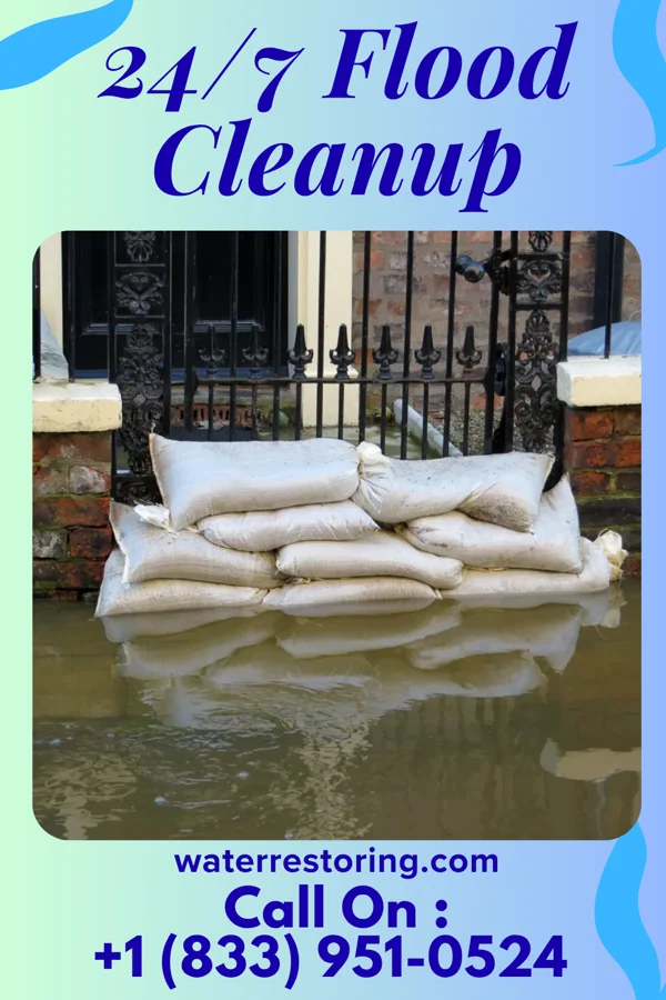 24/7 Flood Cleanup in Orange Grove, TX