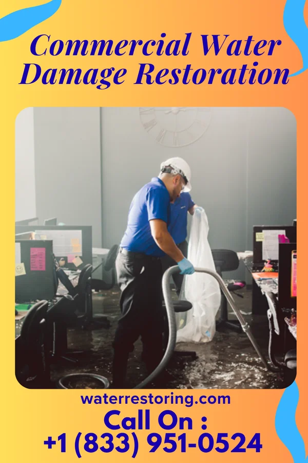 Commercial Water Damage Restoration in Orange Grove, TX