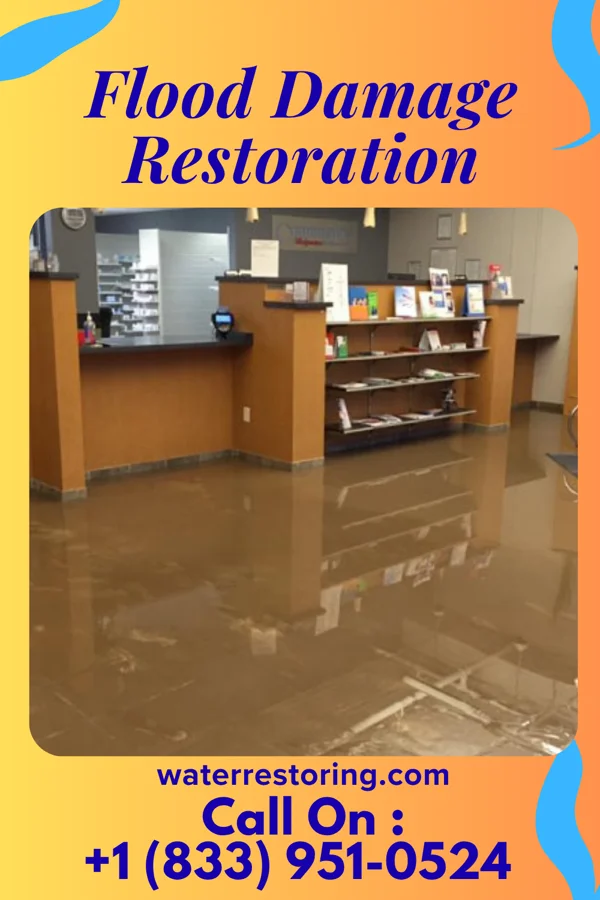 Flood Damage Restoration in Orange Grove, TX