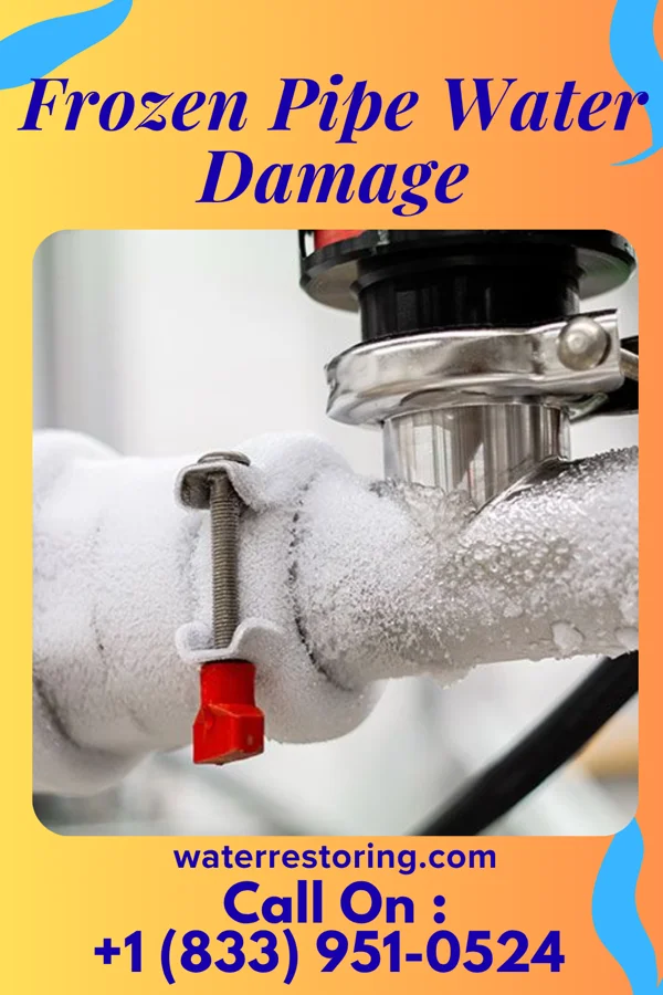 Frozen Pipe Water Damage in Orange Grove, TX